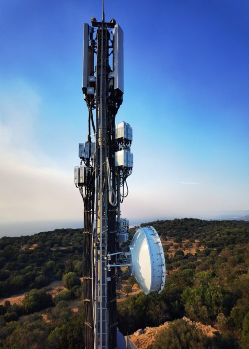 IMG_20240715_184503_648x960